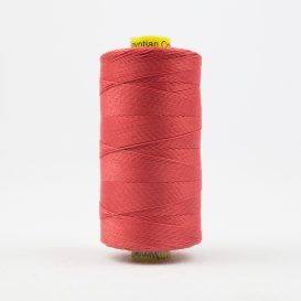 Spagetti Coral