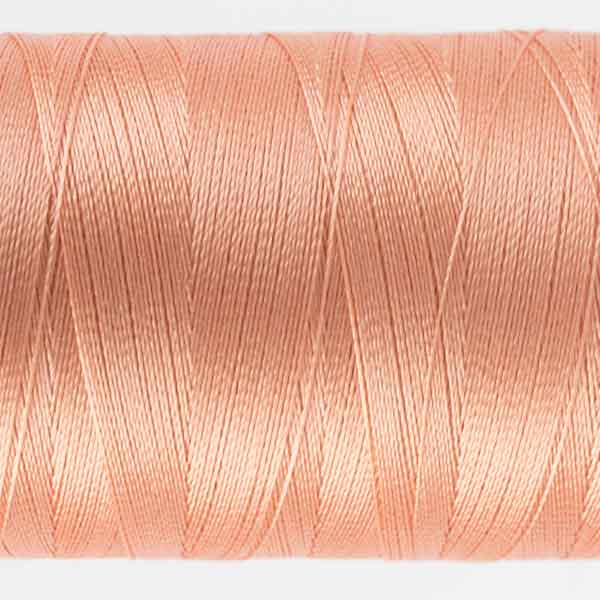 Splendor Apricot Blush
