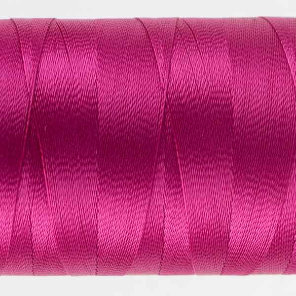 Splendor Beetroot Purple