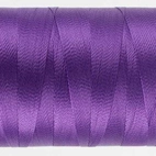 Splendor Dewberry