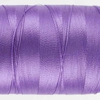 Splendor Hyacinth