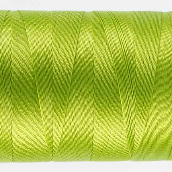 Splendor Macaw Green)