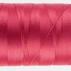 Splendor Rasberry